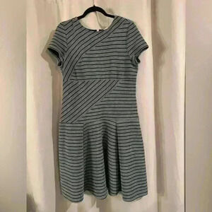 Women’s Sandra Darren Dress